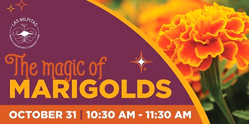 The Magic of Marigolds Workshop