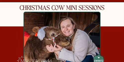 Christmas Cow Photo Sessions