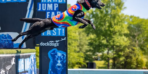 DockDogs\u00ae at the Park Palooza Event