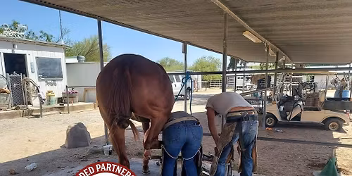Dragon's Gait Horse Owner Farrier Prep Training & Trimming 2-day Clinic