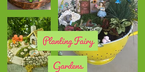 Planting Fairy Gardens