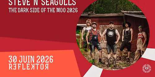 STEVE'N'SEAGULLS au Reflektor le 30 JUIN 2026