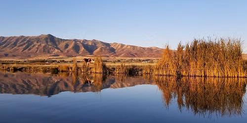 Delta Waterfowl - Cache Valley Banquet