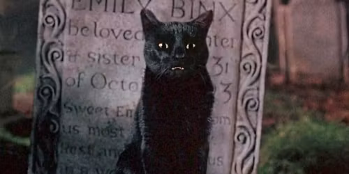 October Age Friendly Family Film