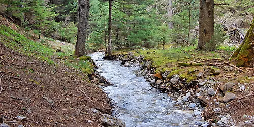 \ud83d\udca5Mainalon trail #1-2 \u201c\u0395\u039b\u0391\u03a4\u0397 \u2013 \u0392\u03a5\u03a4\u0399\u039d\u0391-\u039d\u03a5\u039c\u03a6\u0391\u03a3\u0399\u0391\u201d\ud83d\udca5