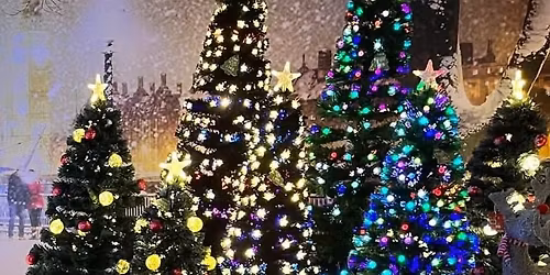 Carr Farm's Christmas Open Evening