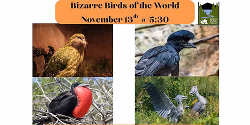 Bizarre Birds of the World