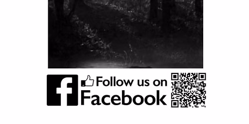 Haunted Woods Walk \ud83c\udf32\ud83d\udc7b\ud83e\udebe