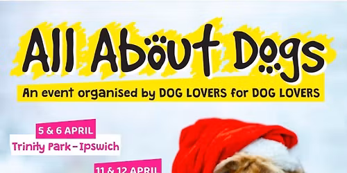 All About Dogs Show Trinity Park, Ipswich