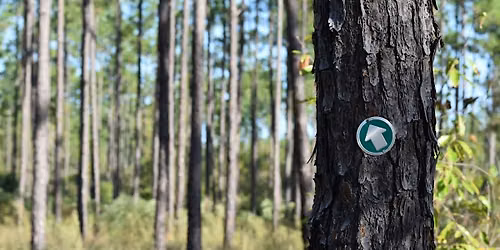 Nature Photography Hike at Greeneyes Wildlife Preserve