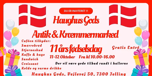 11 års fødselsdag