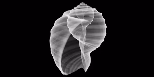 Deep Listening Night \/ In de ban van modulaire synthesizers