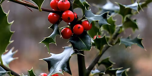 Ritual for Midwinter Solstice or Alban Arthan \/ Alban Arthuan