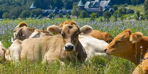 Shelburne Farms Tour 2026
