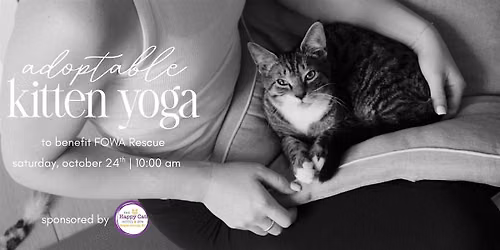 Adoptable Kitten Yoga to benefit FOWA Rescue