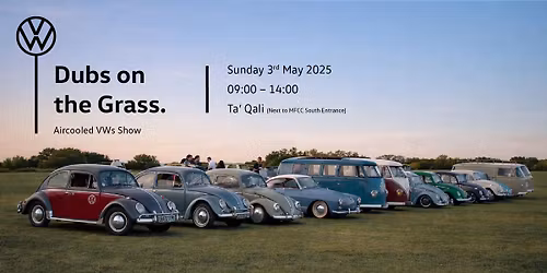 Dubs on the Grass. The Air-cooled VW Show
