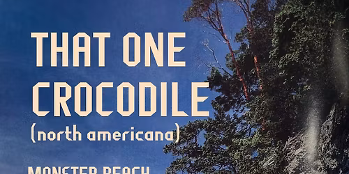 That One Crocodile at Monster Beach