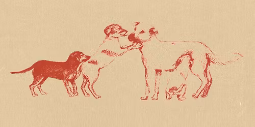 Convivenza Cani e Umani Perch\u00e9 vogliono imporre il patentino?