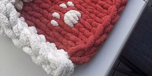 Coffee and Crochet - Pet Bed Workshop