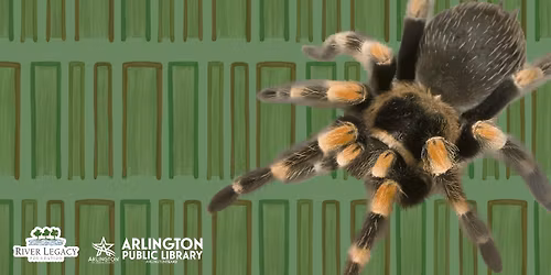 Family Story Time: Arachnids
