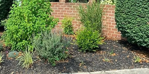 Highlands\/Kingswood Yard Sale