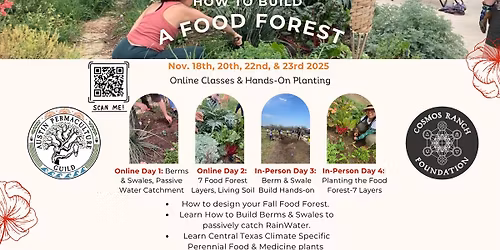 How to Build a Food Forest - Online & Hands-on Planting