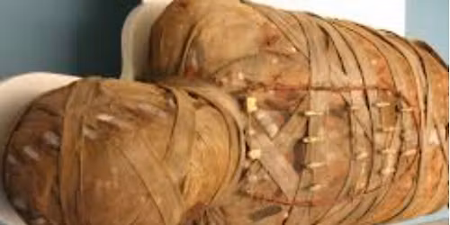 HOMESCHOOL: FORENSIC ANTHROPOLOGY