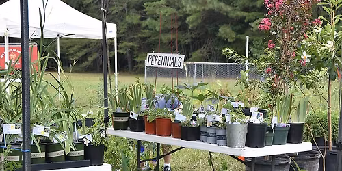24th Annual Plant Extravaganza