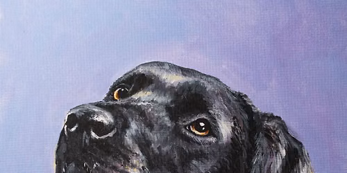Paint Your Pet @ NoDa Brewing Company (NORTH)