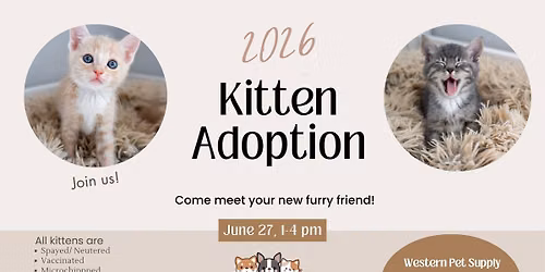 Kitten Adoption Event 