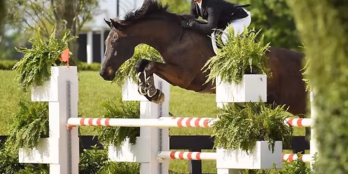 Brendan Wise at Harmonia Equestrian