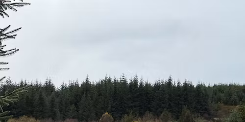 Strata Florida Wild Wales 4x4 Explorer Tour 