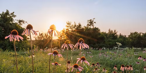 Native Plants and Prairies Day