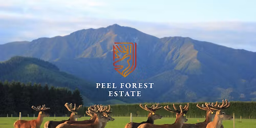 Forrester Sire Sale 2025