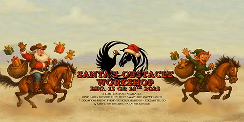 Rising Phoenix Horsemanship Winter Obstacle Clinic