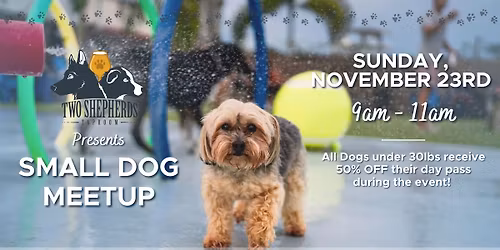 Small Dog Meetup at Two Shepherds Taproom!
