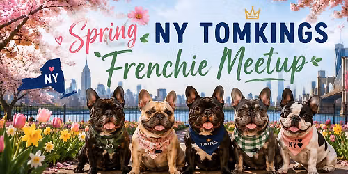 Frenchie Fun Day – TomKings NY Meetup — Belmont Lake State Park