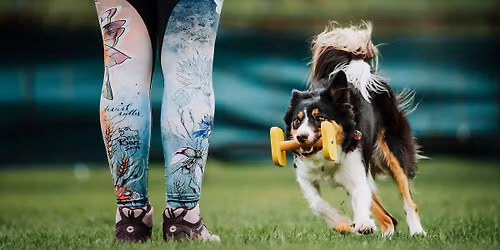 Halowe warsztaty Obedience w stylu ObiFru - grudzie\u0144