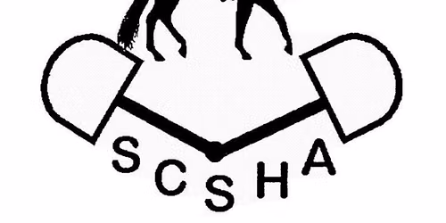 SCSHA Futurity Show