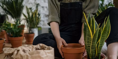 Indoor Houseplants 101 - Carrboro