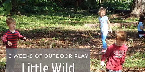 Little Wild Ones - 6 Wednesdays - Fall 2025