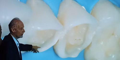 CONSERVATIVE & INTERCEPTIVE REHABILITATION of TOOTH WEAR - Master Program