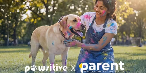 Paint Paws