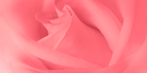 The Perimenopause Era - Rubianca Han Simmelsgaard