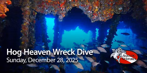 Hog Heaven Wreck Dive