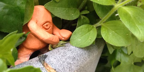 Monster Hunt