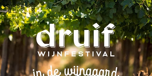 \ud83c\udf47 Druif in de Wijngaard \ud83c\udf47