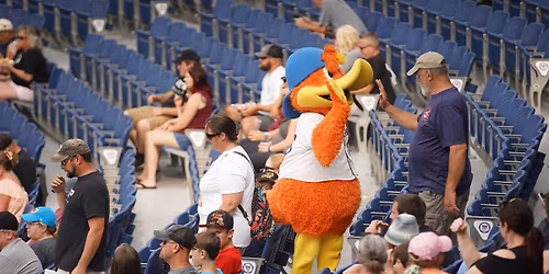 Binghamton Rumble Ponies at Akron RubberDucks at Canal Park