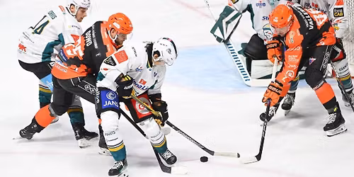 Belfast Giants at Sheffield Steelers Ice Hockey at Utilita Arena Sheffield