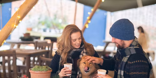 Blickling's Garden of Lights Paws evening for dogs